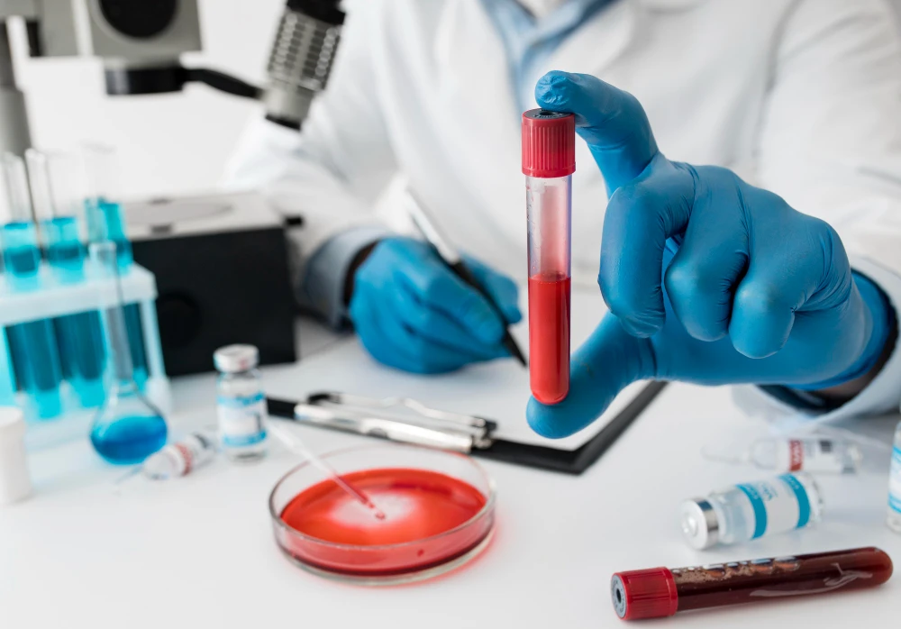 Your Guide to Finding the best hematologists in tampa fl