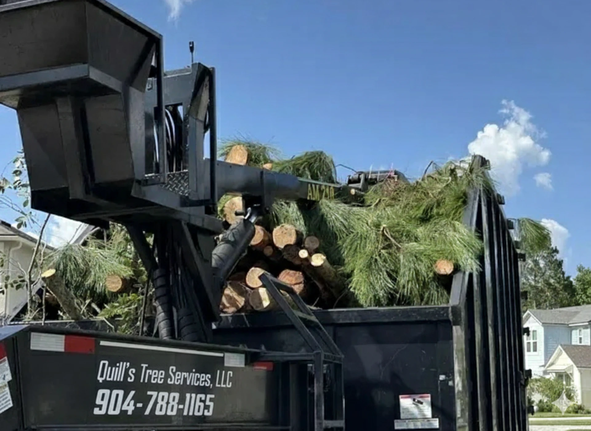 What Best Tree Removal Solve When Trees Become a Real Hazard Issue?