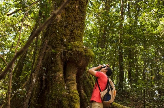 Manu Reserved Zone Tours: A True Amazon Experience