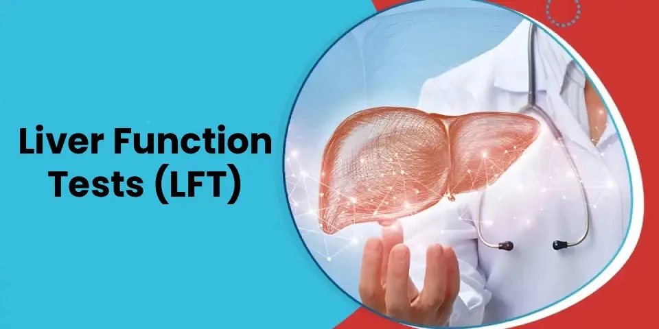 What Is a Liver Transplant? A Complete Guide for Patients in Pune