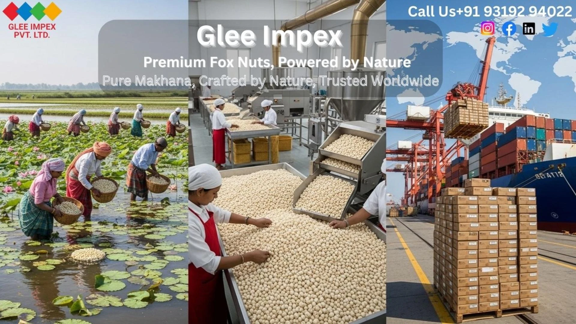 Best Makhana Exporter in India for International Food Buyers