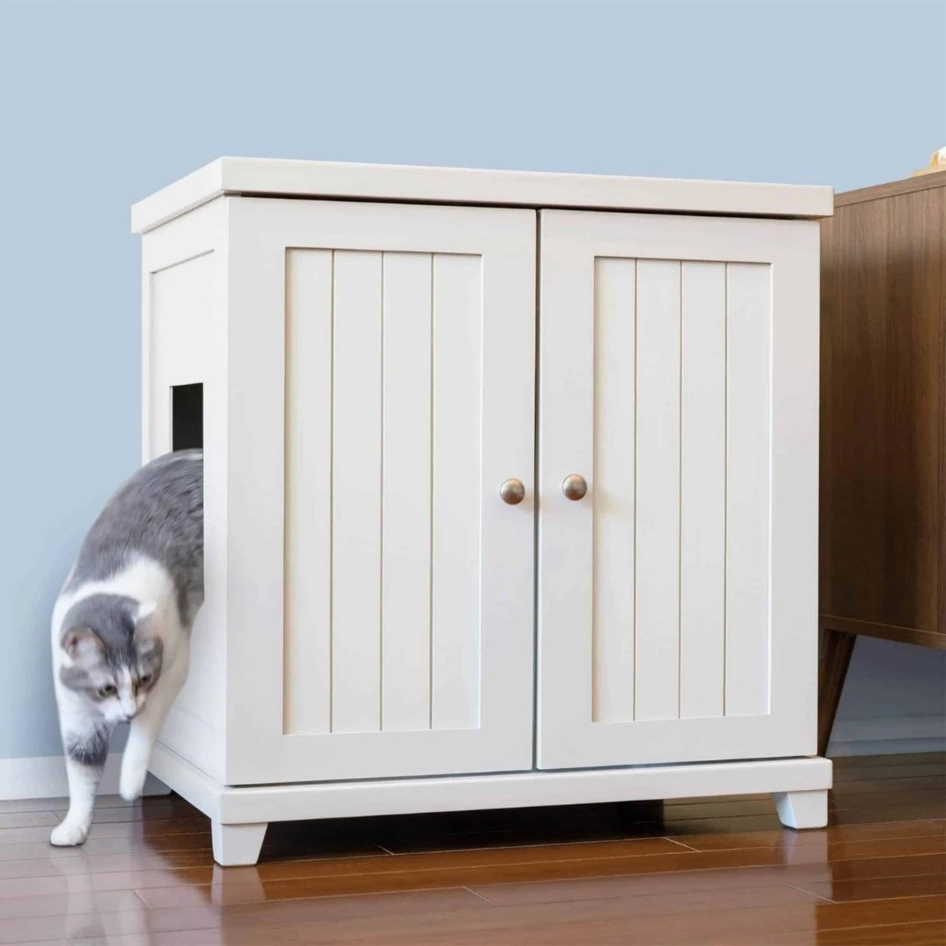 Best Litter Box Cabinet Guide for Cat Owners