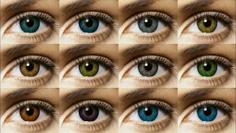 Hazel Lenses in Pakistan: The Best Shades and Prices
