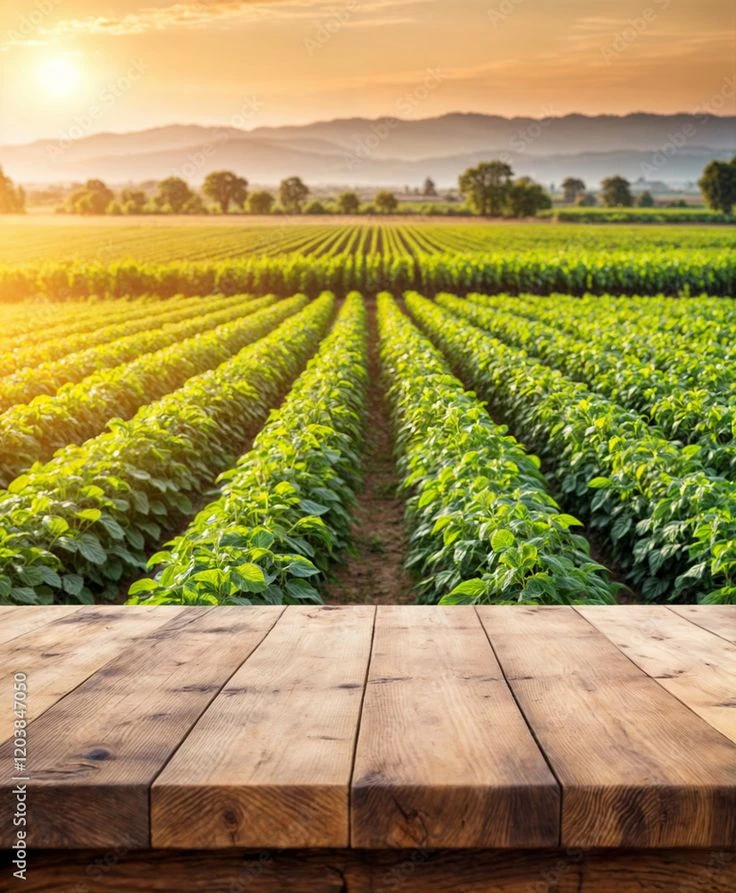 Plots at Chikkaballapur - Enjoy Sustainable Living at Hosachiguru Unnati