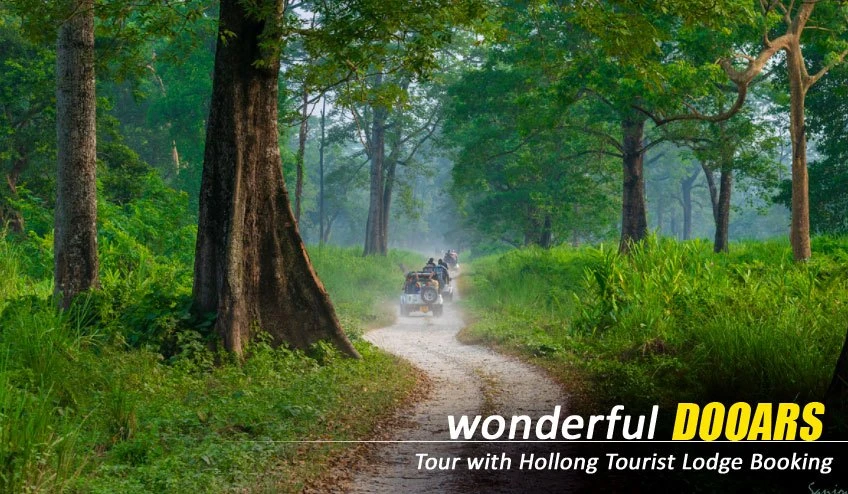 Dooars Tour Package from Siliguri Featuring Tea Gardens, Forest Trails, and Wildlife