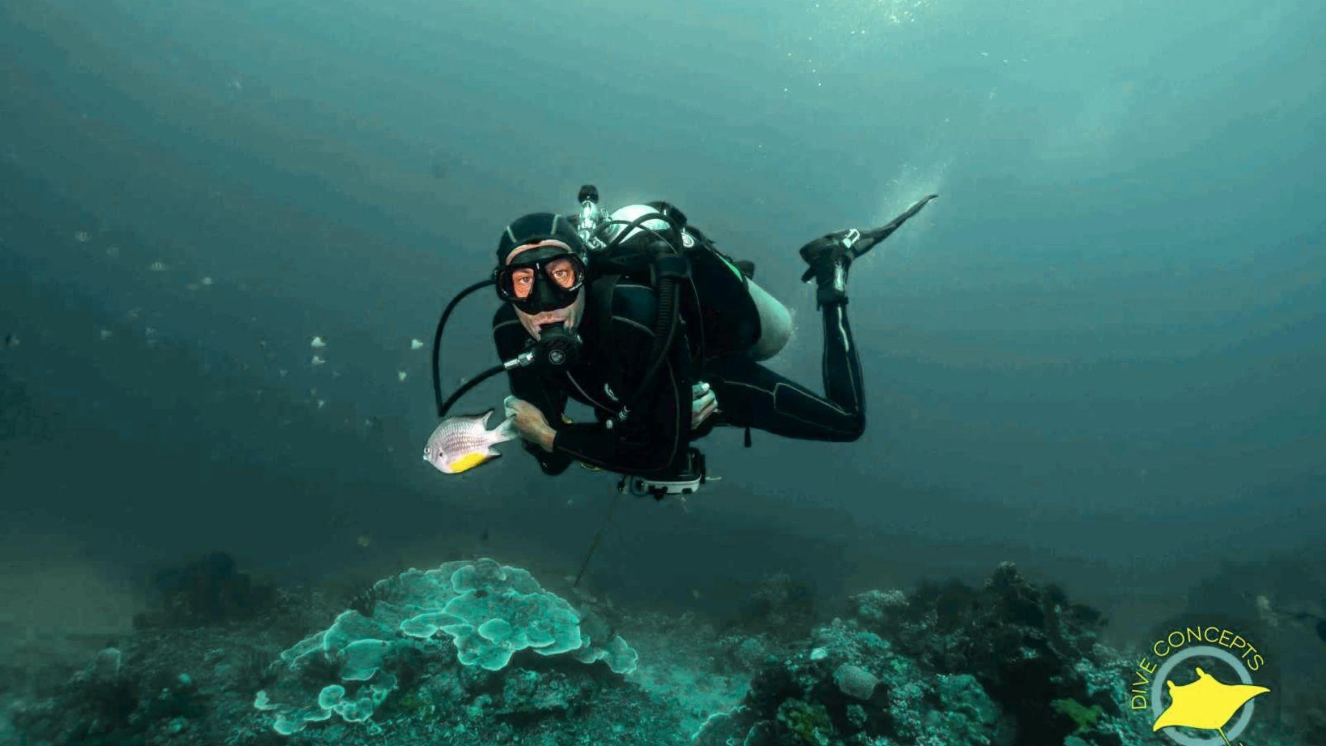 Where to Find the Best Bali Dive Shop Deals