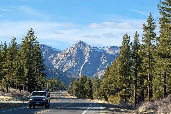 License Brokers: Your Guide to Alpine County Liquor Licenses