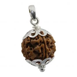 5 Mukhi Rudraksha – Meaning, Benefits & How to Wear