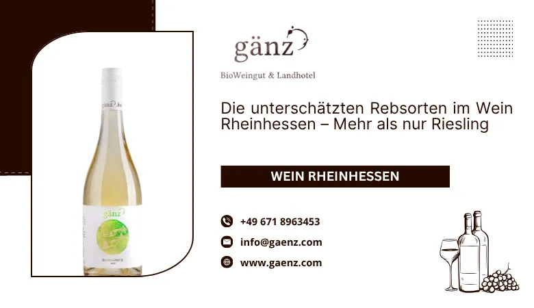 🍇 Die unterschätzten Rebsorten im Wein Rheinhessen – Mehr als nur Riesling