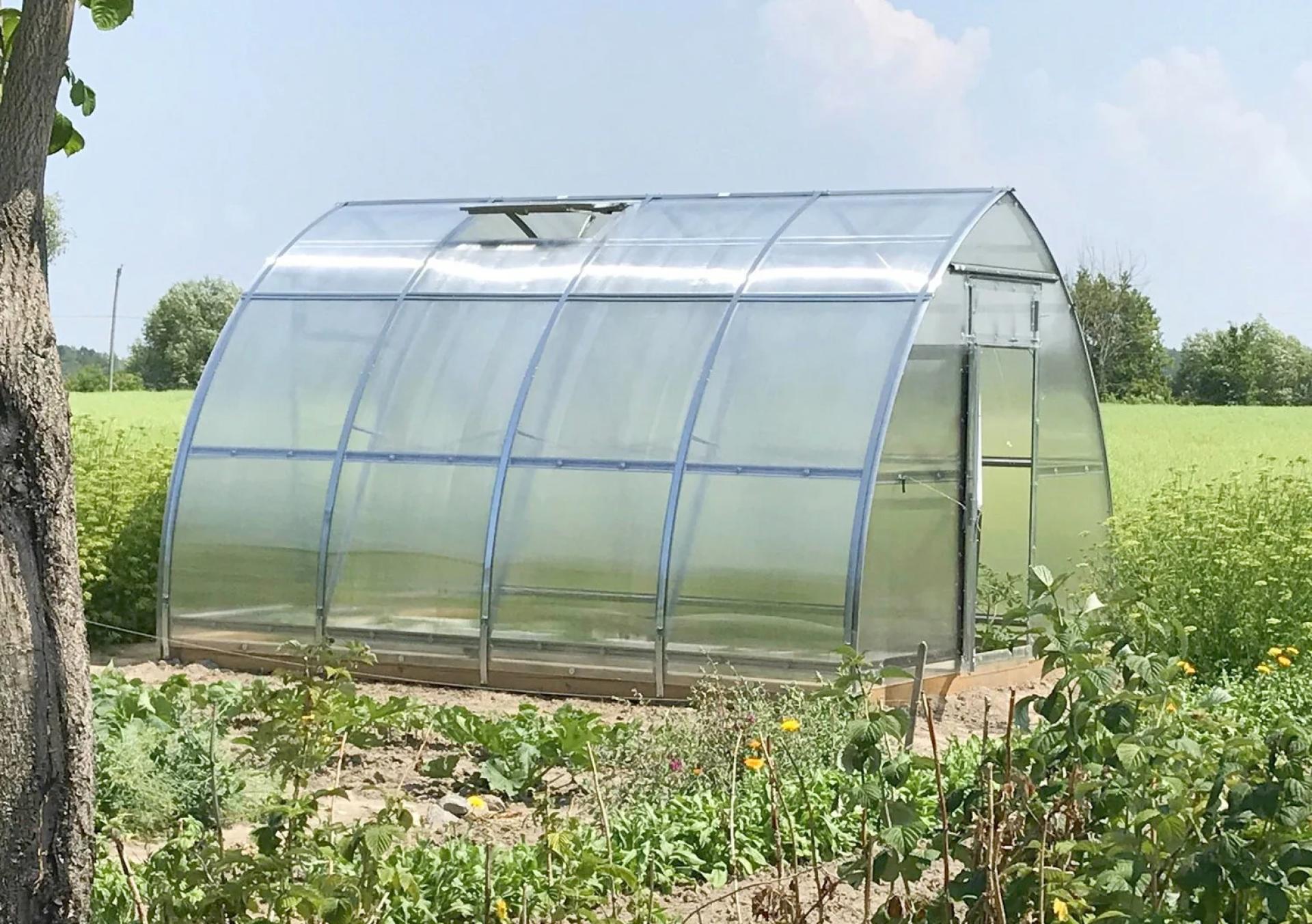 Backyard Greenhouses Guide