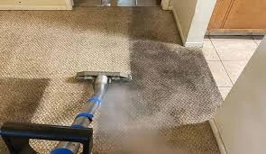 How Professional Steam Cleaning Protects Your Carpet Investment?