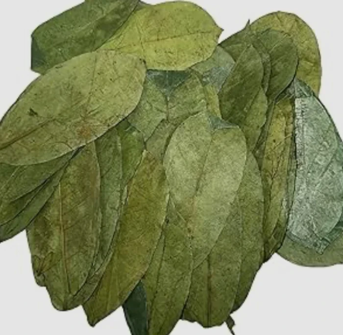 A Proper Guide to Herbal Wellness and Cancer Detox Herbal Bundle in Michigan