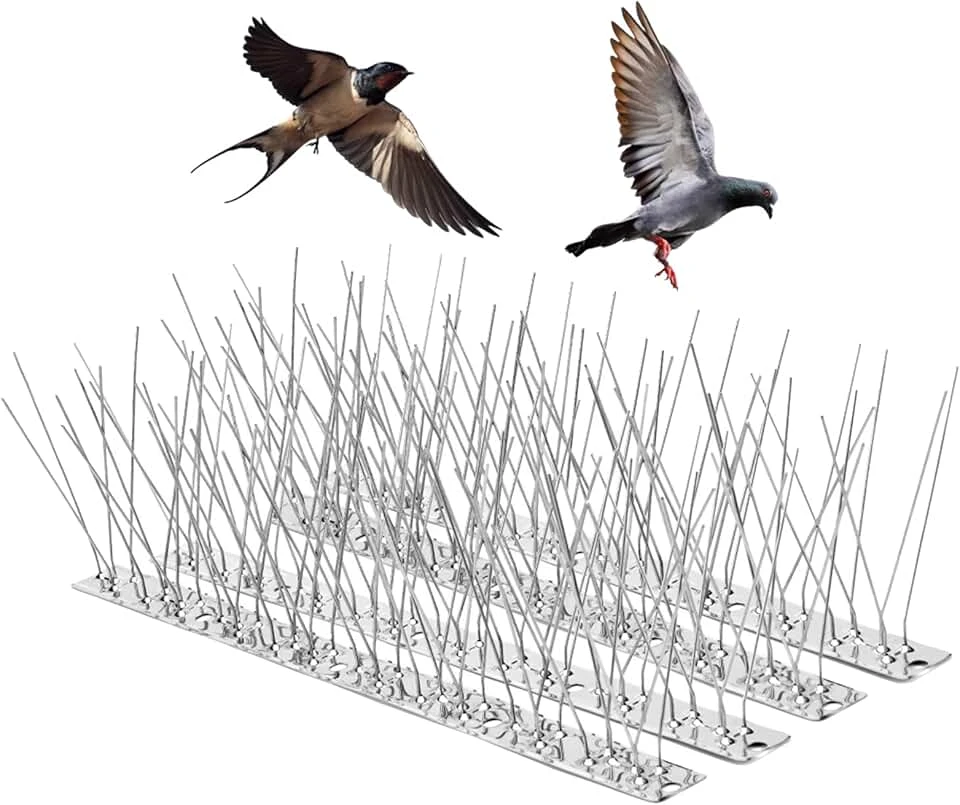 Bird Spikes in Dubai: A Cost-Effective Bird Control Solution
