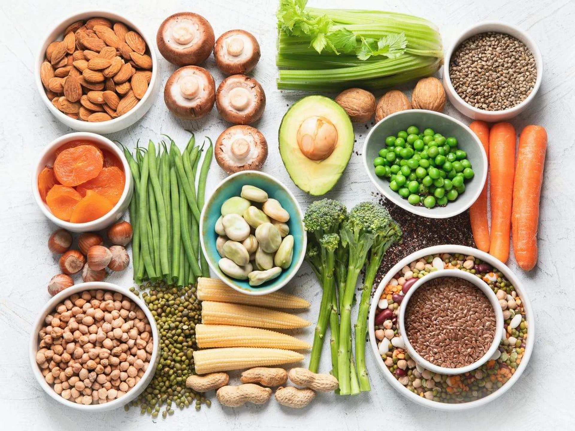 Middle East &amp; Africa Plant Protein Market Business Overview and Forecast