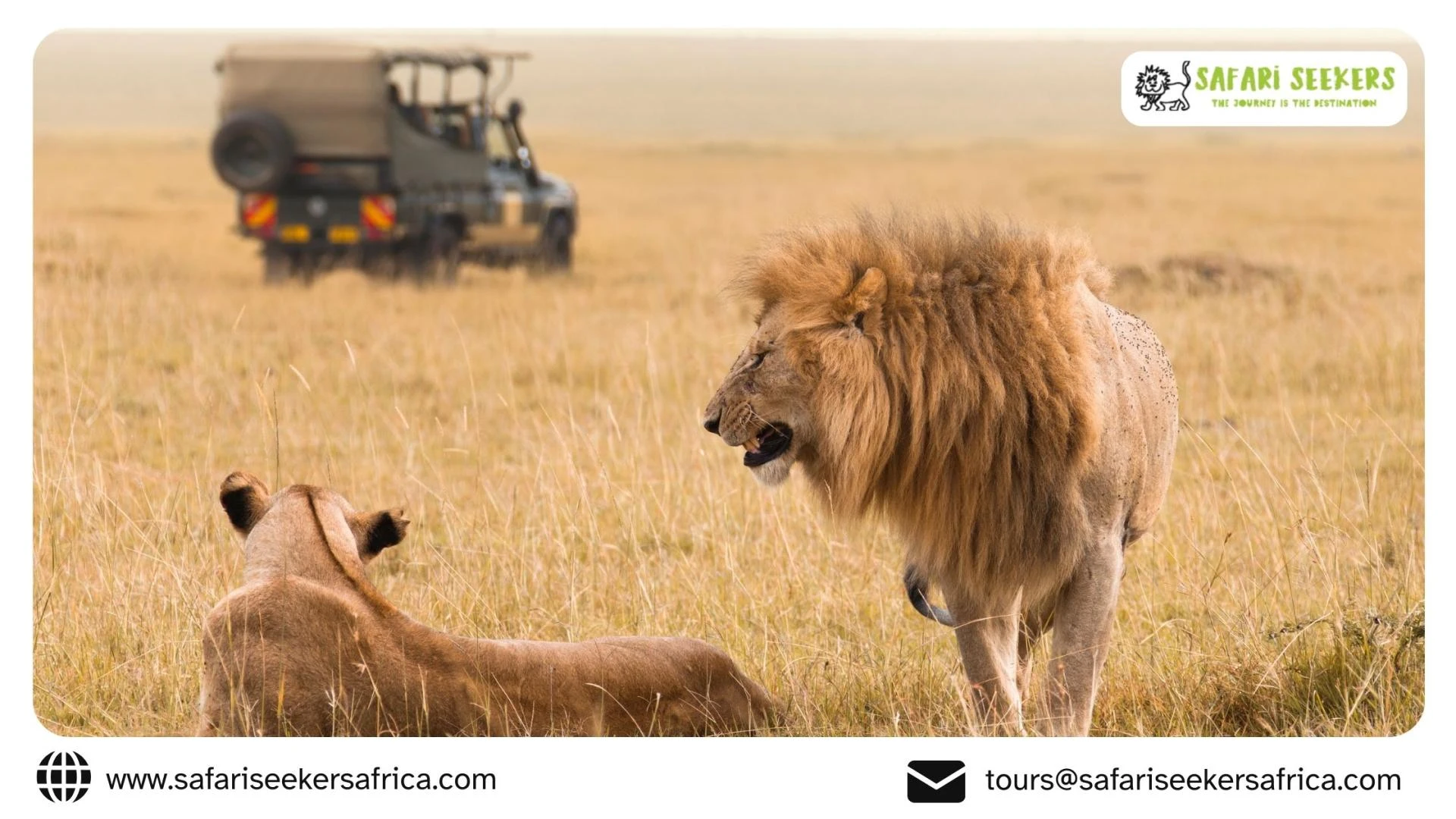 Unforgettable Kenya Holiday Safaris: Why Kenya Remains the Soul of Africa