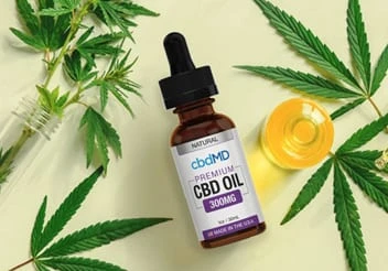 What a Natural Bioidentical Hormone Replacement Portage IN Supports Wellbeing, Adjust, and Ordinary Well-Being