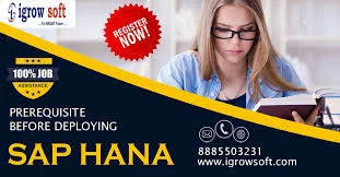 What is SAP HANA XS Engine?