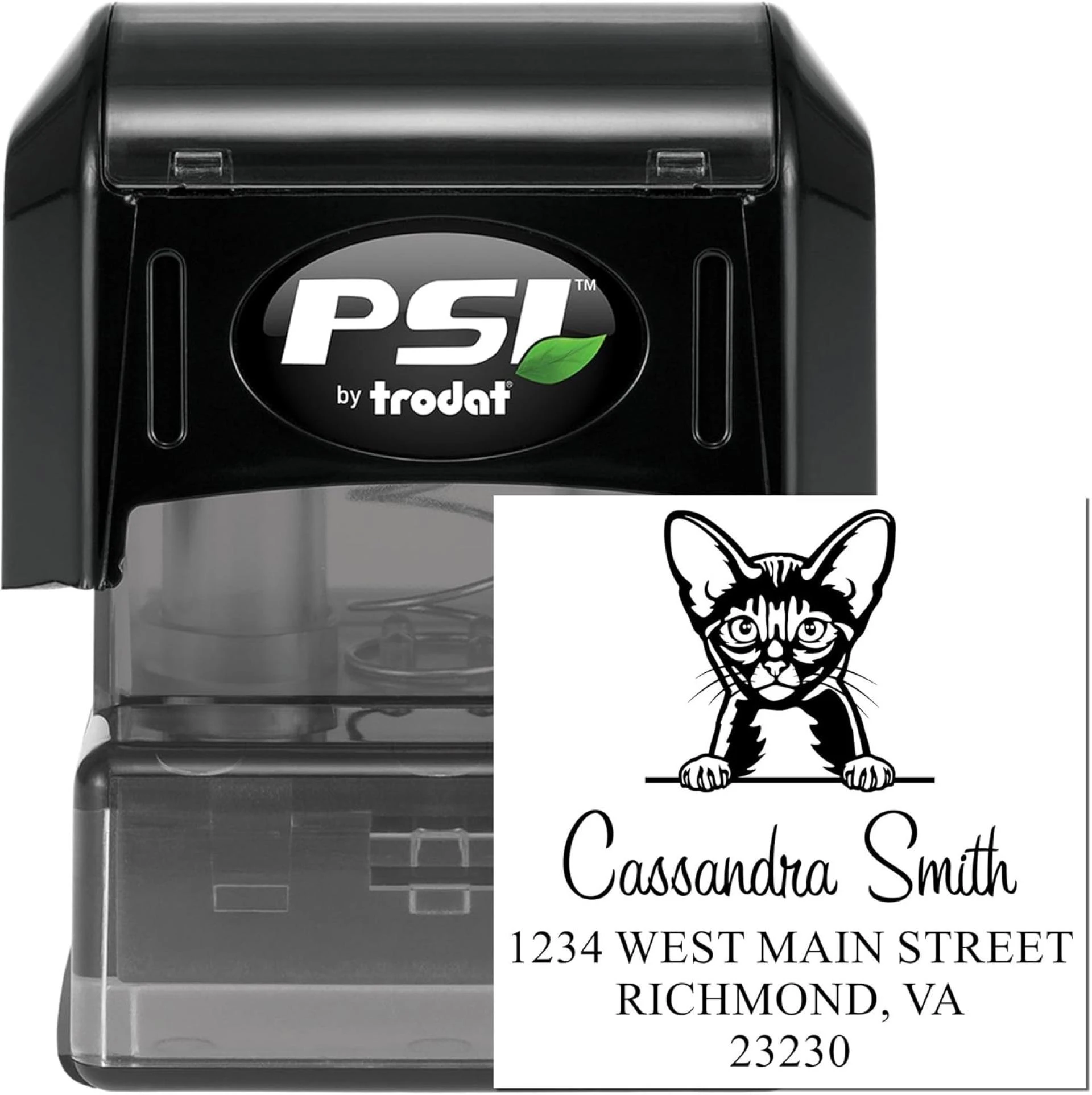 Add Personality to Every Envelope with a Custom Abyssinian Cat Address Stamp by Acorn Sales