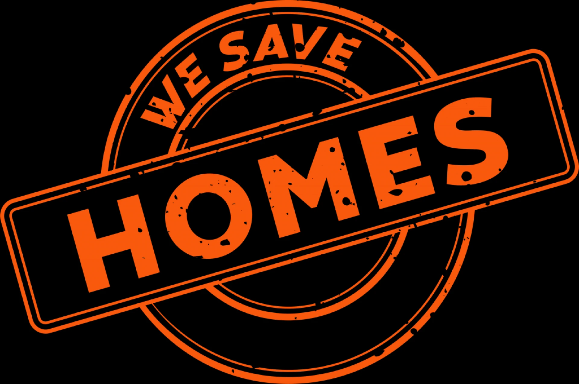 Common Issues Solved by Pest and Termite Control in Bayswater