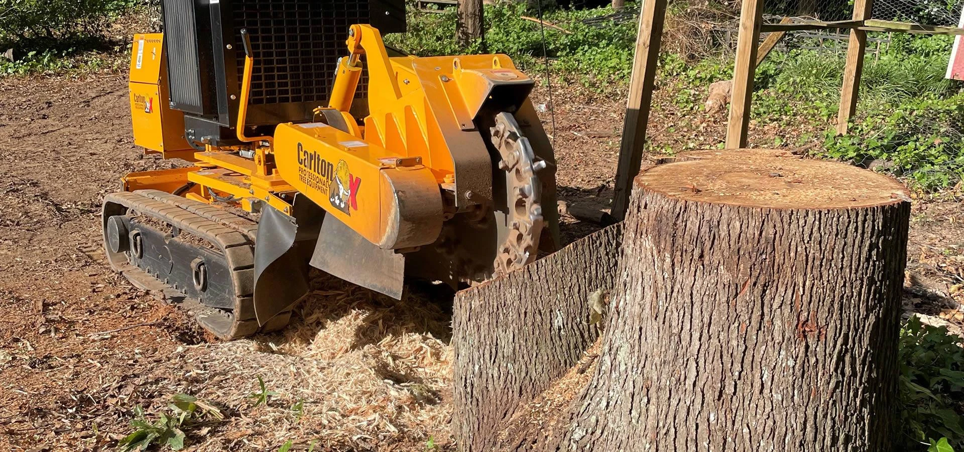 Why Professional Stump Removal Makes a Real Difference for Your Property