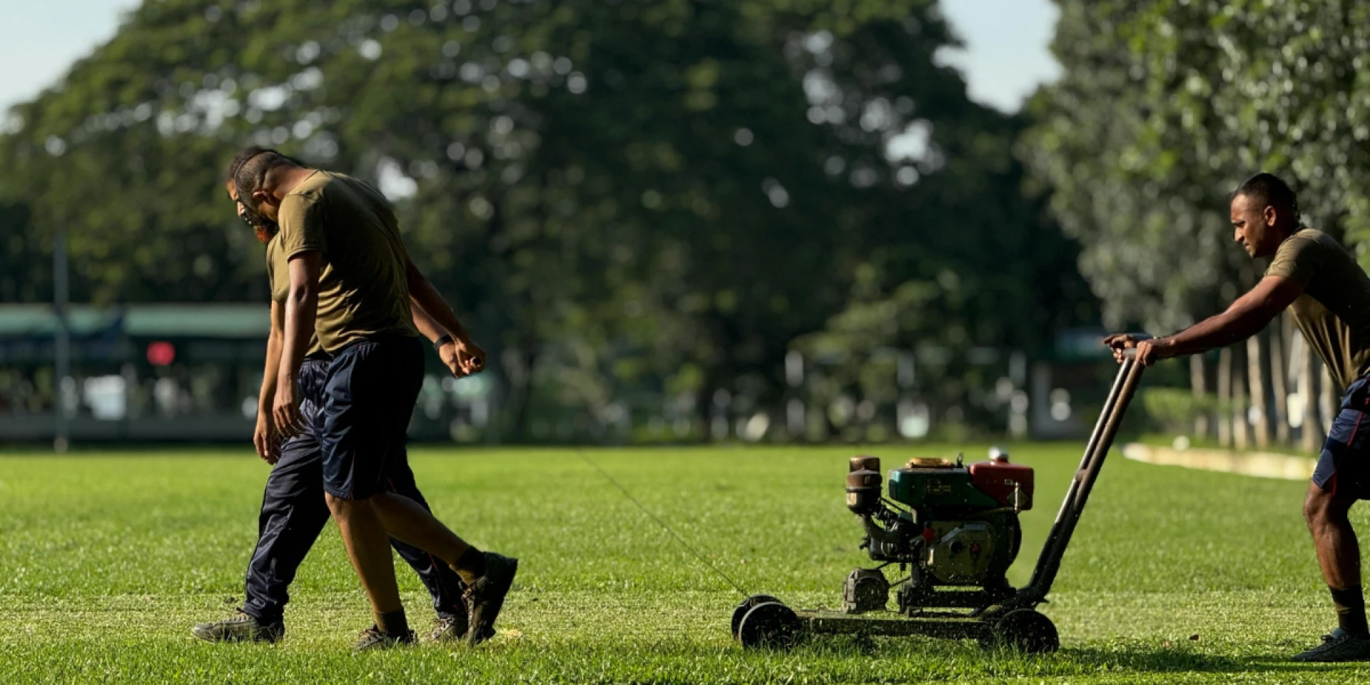 Winter Lawn Care in Tennessee: What to Do (and What to Skip) From November to February