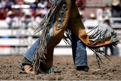 What Makes Chaps for Bull Riding Essential for Safety?
