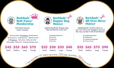 Comfort Care and Grooming Insights at a Winter Park Pet Spa