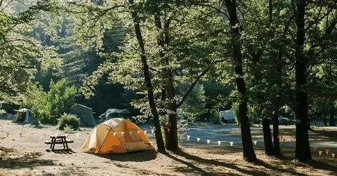 How to Choose the Best RV Spot at Living Forest Oceanside