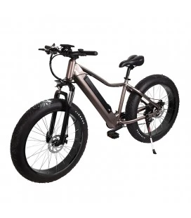 Fatbike E-Bike – Freiheit, Abenteuer und Power auf jedem Terrain