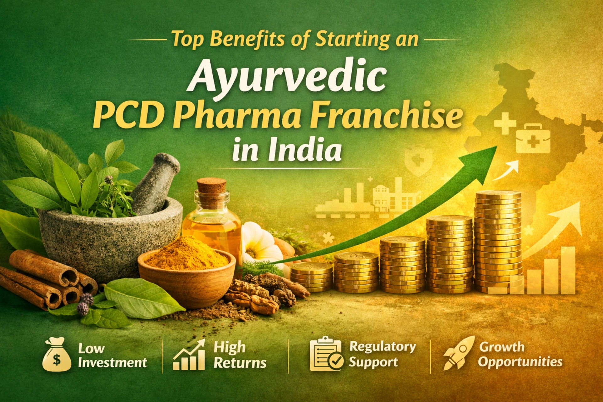Top Benefits of Starting an Ayurvedic PCD Pharma Franchise in India