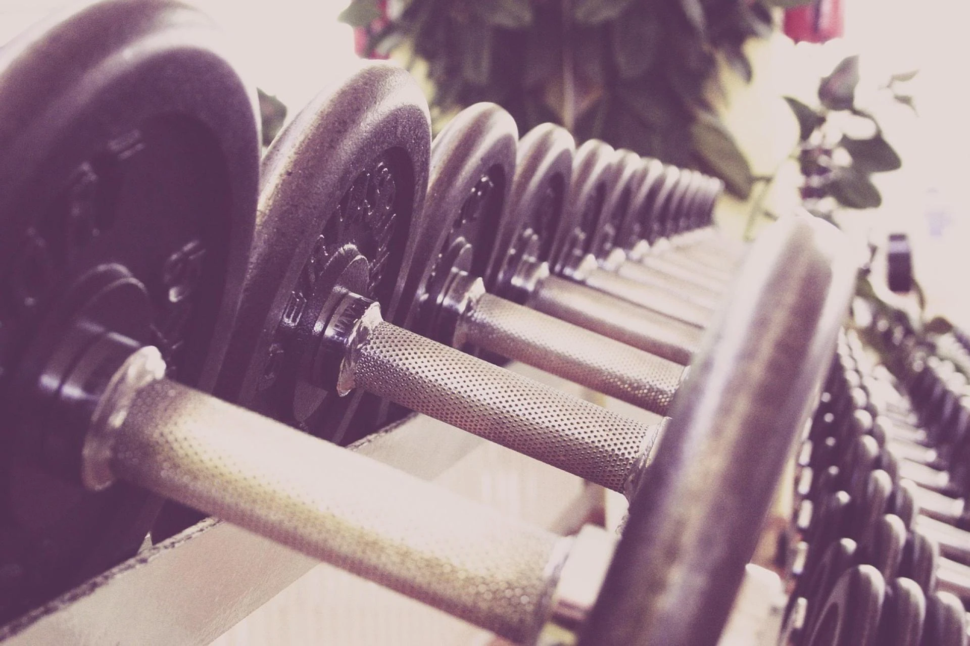 How Do Smart Investors Use Gym Consulting Services To Ensure A Massive Return?