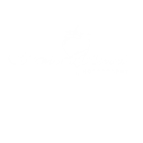Best Male Boudoir Photography in Tacoma Brings Confidence-Focused Sessions