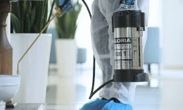 Why Pest Problems Are So Common in Dubai