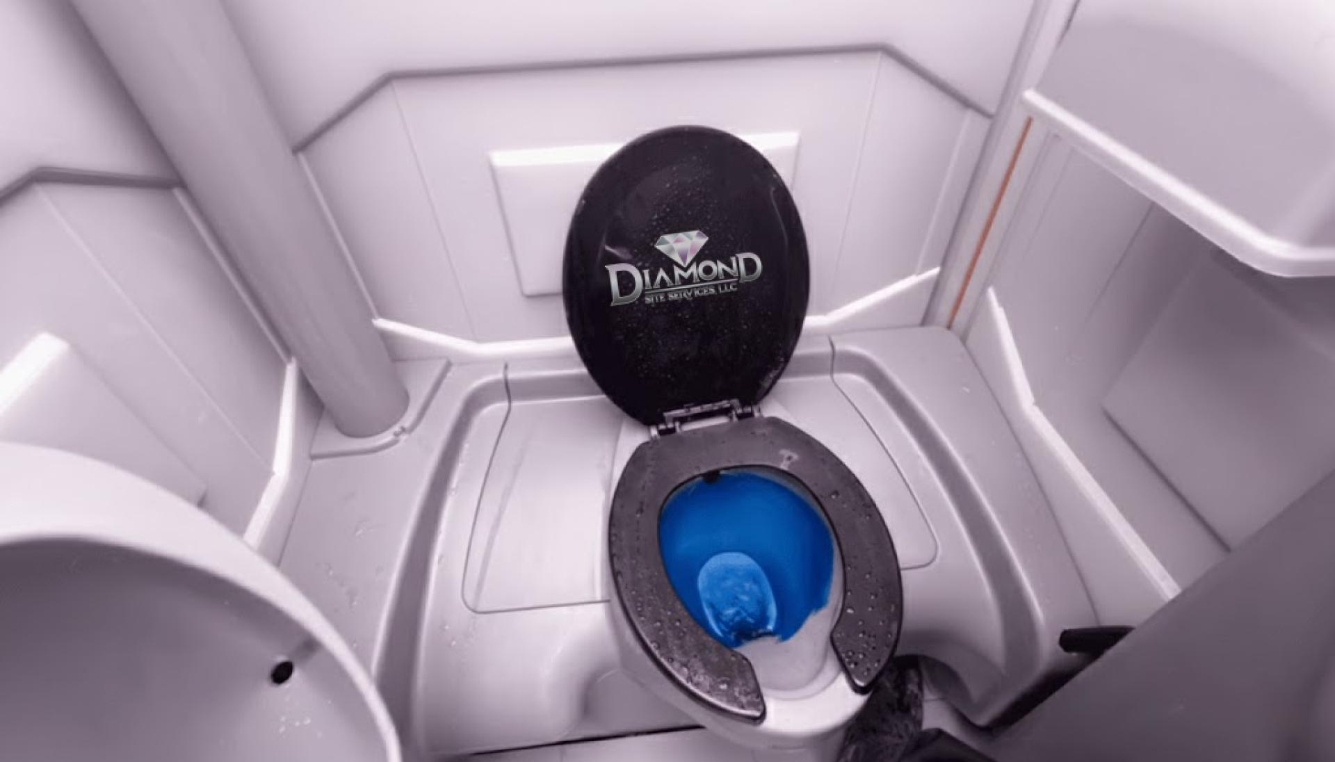 What is the Blue Liquid in Portable Toilets?