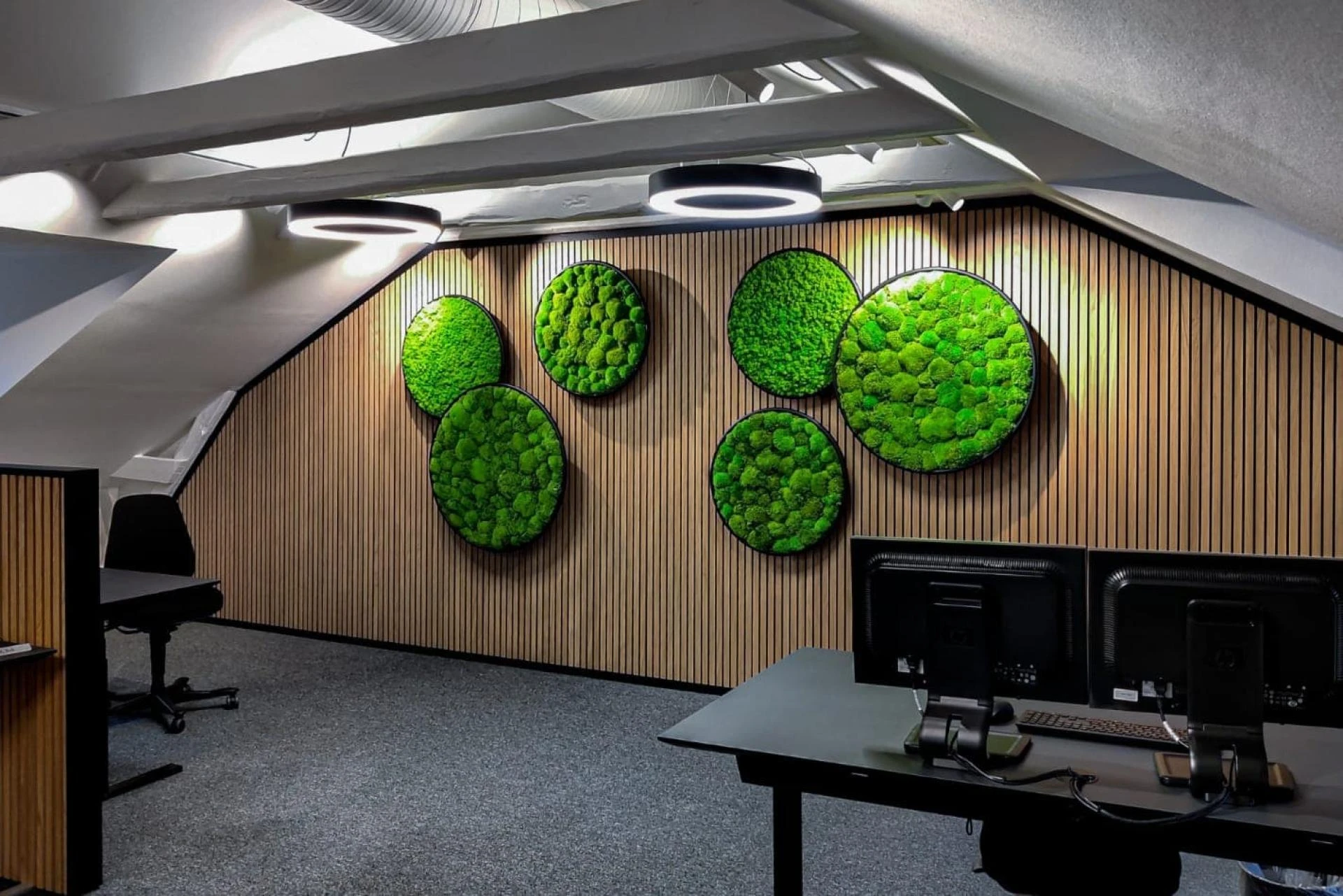 How Interior Foliage Design Boosts Indoor Air Quality