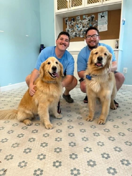 Professional Dog Groomers Westchase Guide