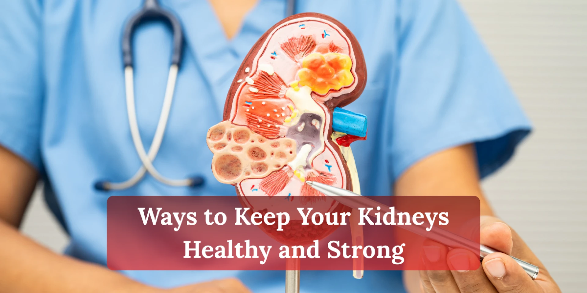 Ways To Keep Your Kidneys Healthy and Strong