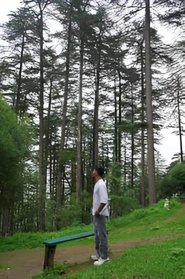 Cousins Self Drive Road Trip To Mussoorie Form Dehradun