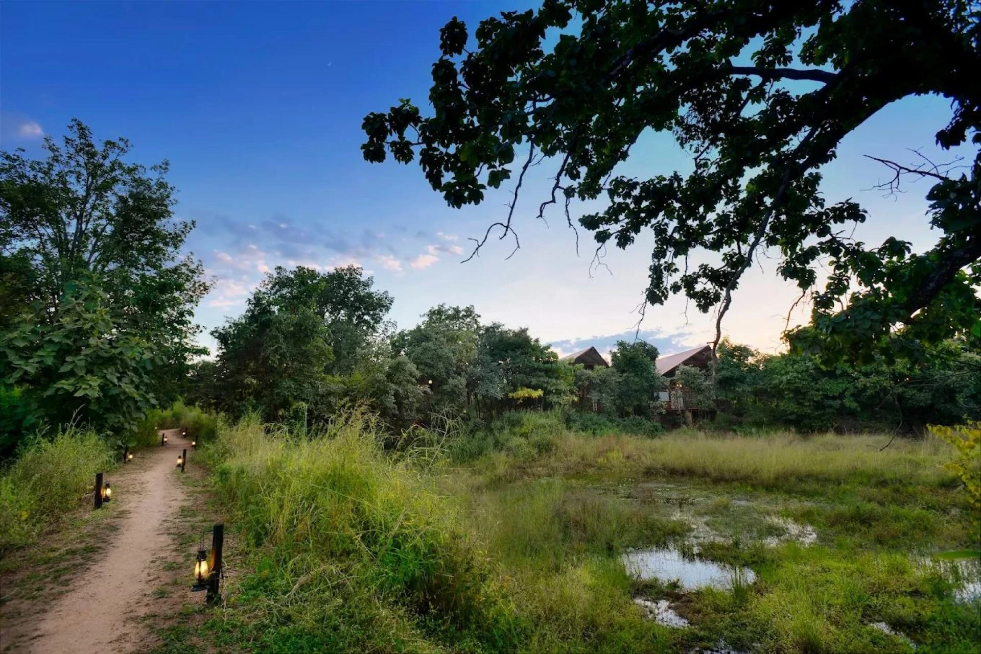 Travel Itineraries: 3-Day Wildlife Trip in Pench & Nearby Attractions