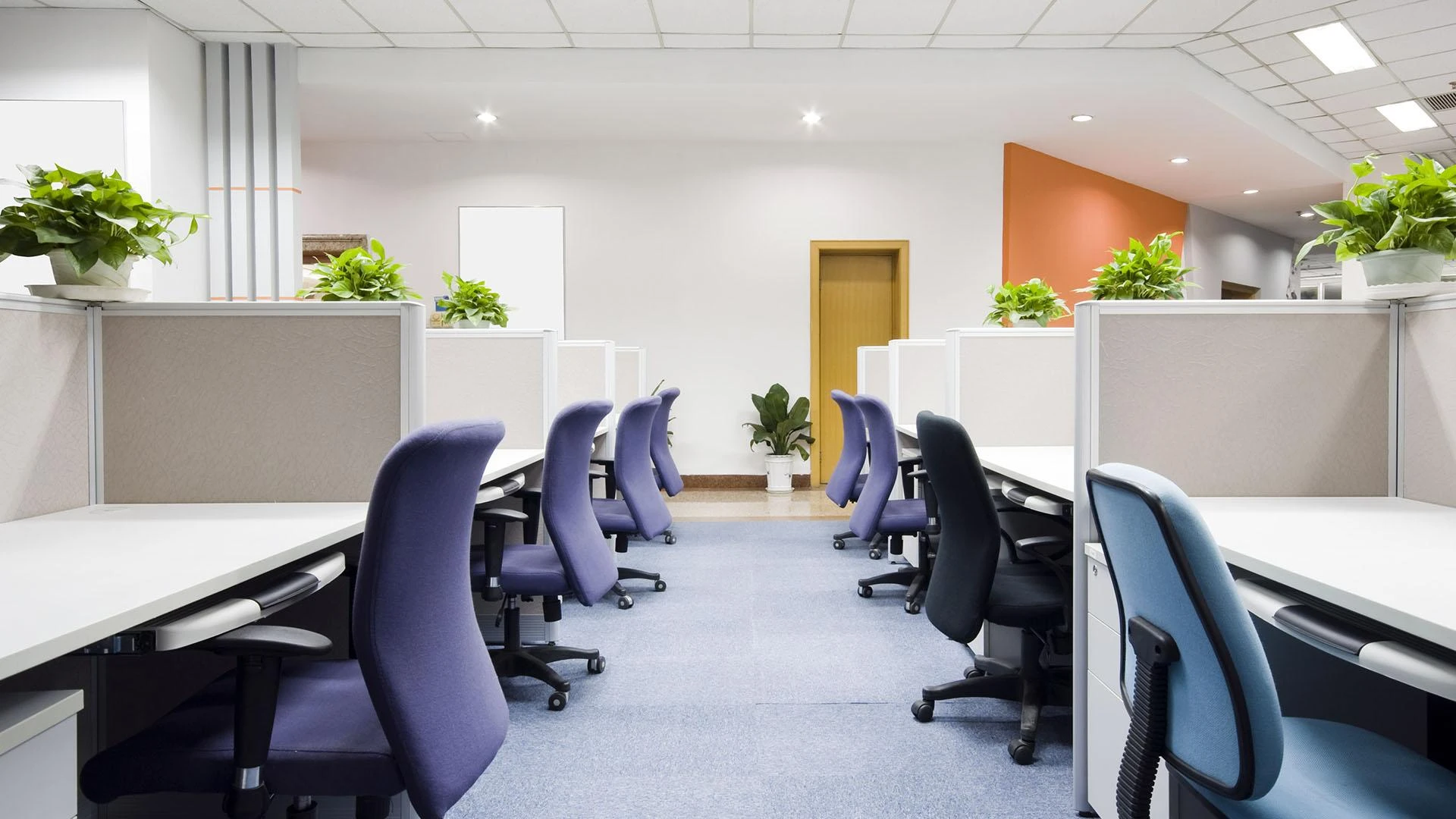 Holiday Inn Manhattan KS: A Perfect Blend of Comfort, Amenities, and Location