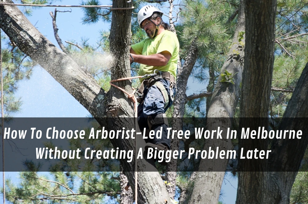 How To Choose Arborist-Led Tree Work In Melbourne Without Creating A Bigger Problem Later