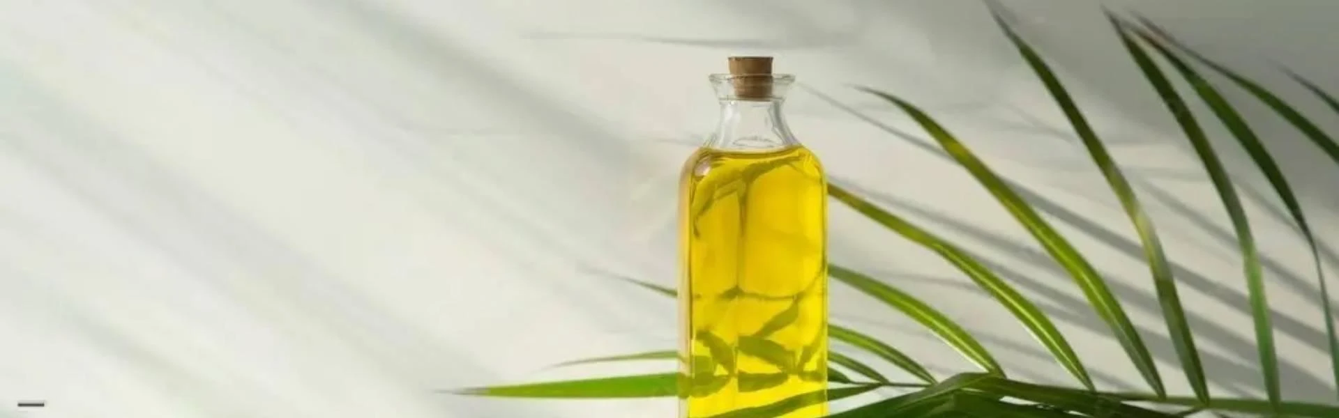 Saw Palmetto Oil Bulk Suppliers – Reliable Wholesale Solutions for Growing Industries