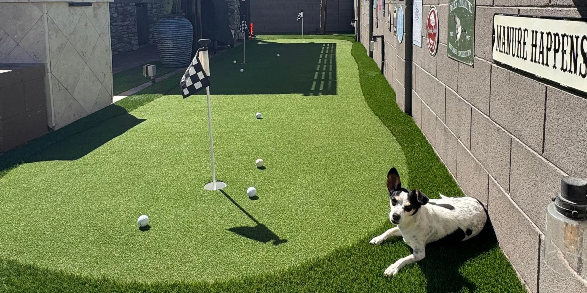 How Pet Turf Cleaning in Phoenix Keeps Your Artificial Grass Odor-Free