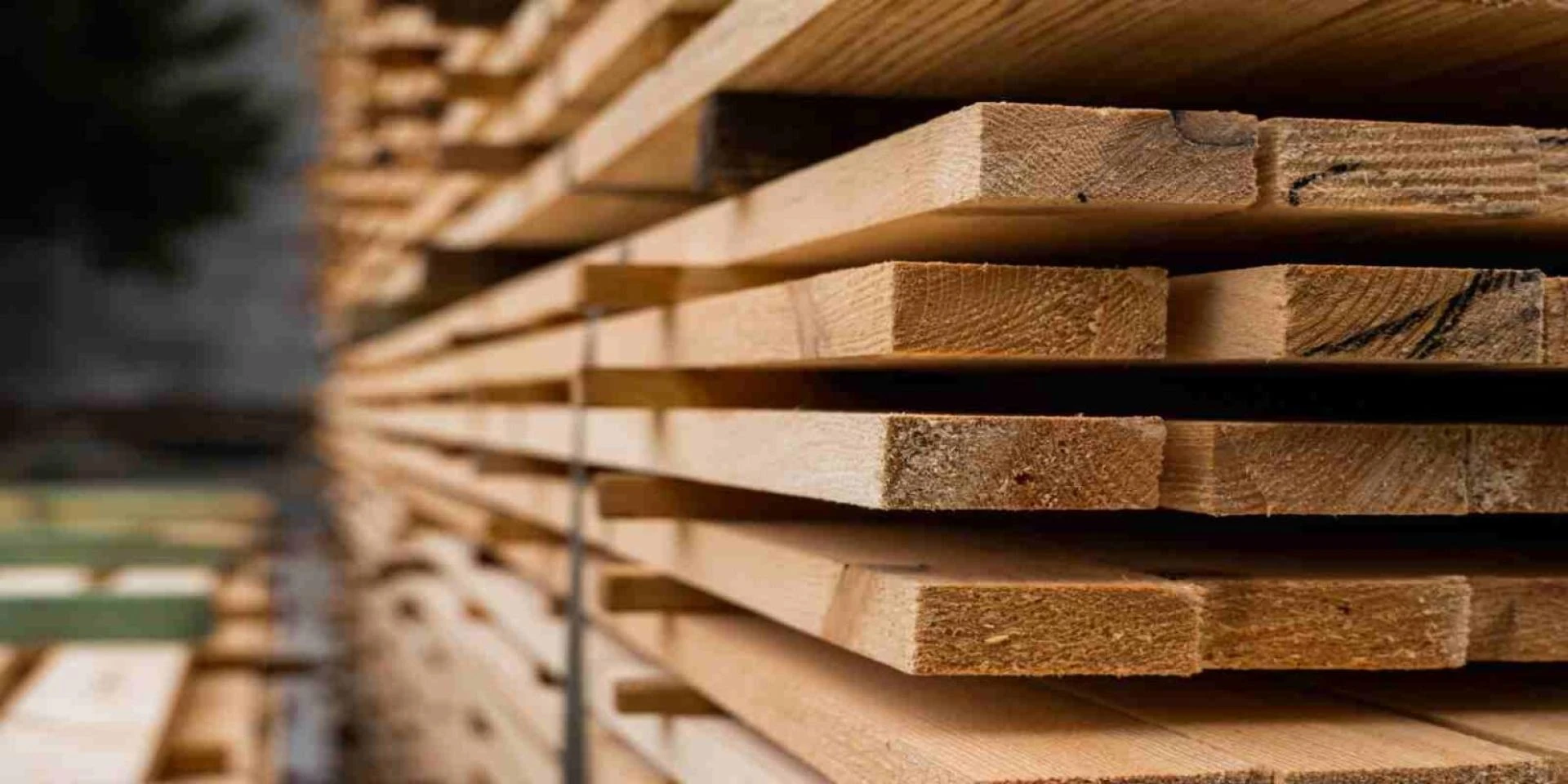 Lumber vs Plywood: Differences, Uses, and Advantages in Construction