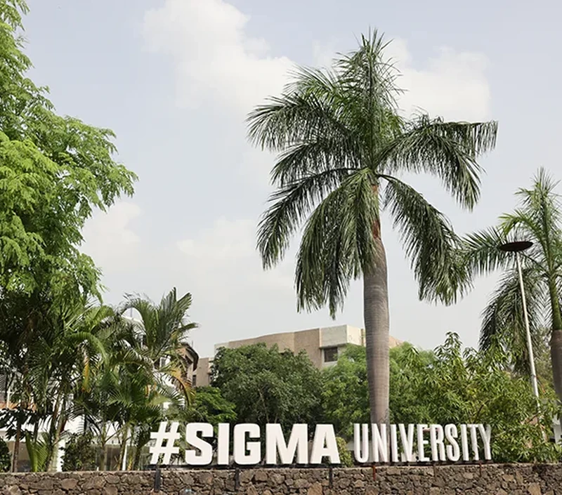 University in Gujarat: Your Complete Guide to Higher Education Opportunities
