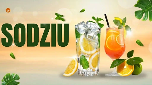 Sodziu: Meaning, Origins, Cultural Significance & Modern Relevance