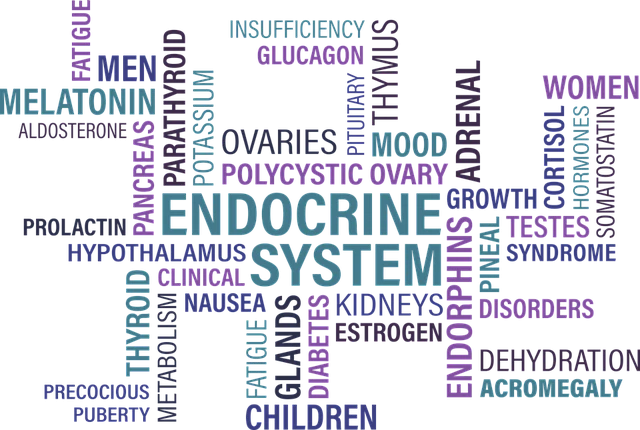 Understanding T3, T4, and TSH Levels Explained Simply