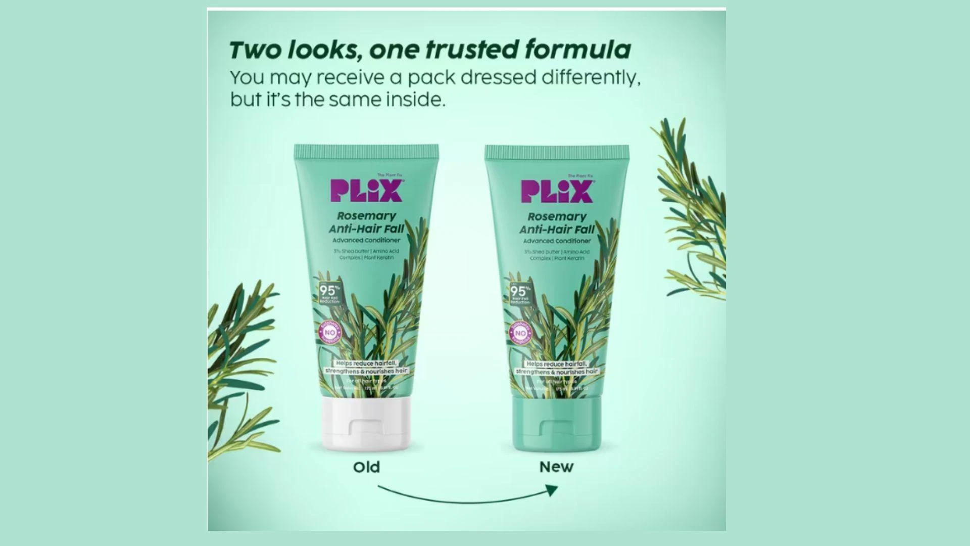 Best Vegan Protein Powder for Clean Muscle Growth and Daily Nutrition