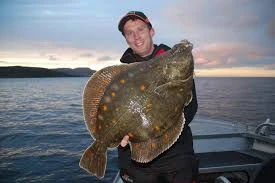 The Complete Guide to Understanding Manthal Fish