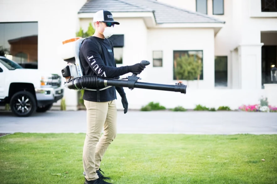 Simple Tips to Prevent Pests in Your San Tan Valley Home